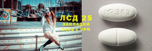 гидра Каменногорск