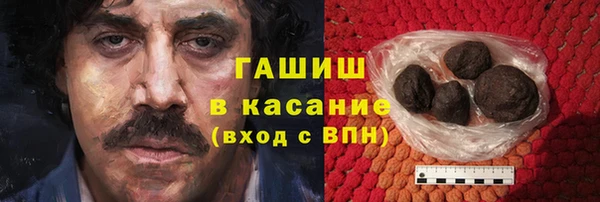 гидра Каменногорск
