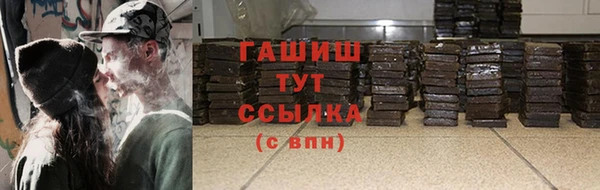 гидра Каменногорск