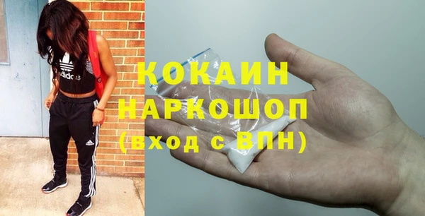 гидра Каменногорск