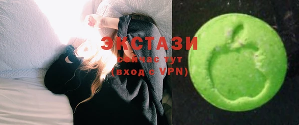 гидра Каменногорск