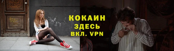 гидра Каменногорск