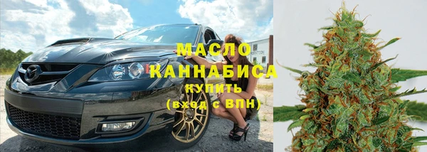гидра Каменногорск