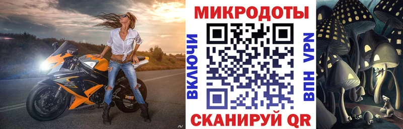 Галлюциногенные грибы GOLDEN TEACHER Купить закладки Нестеров